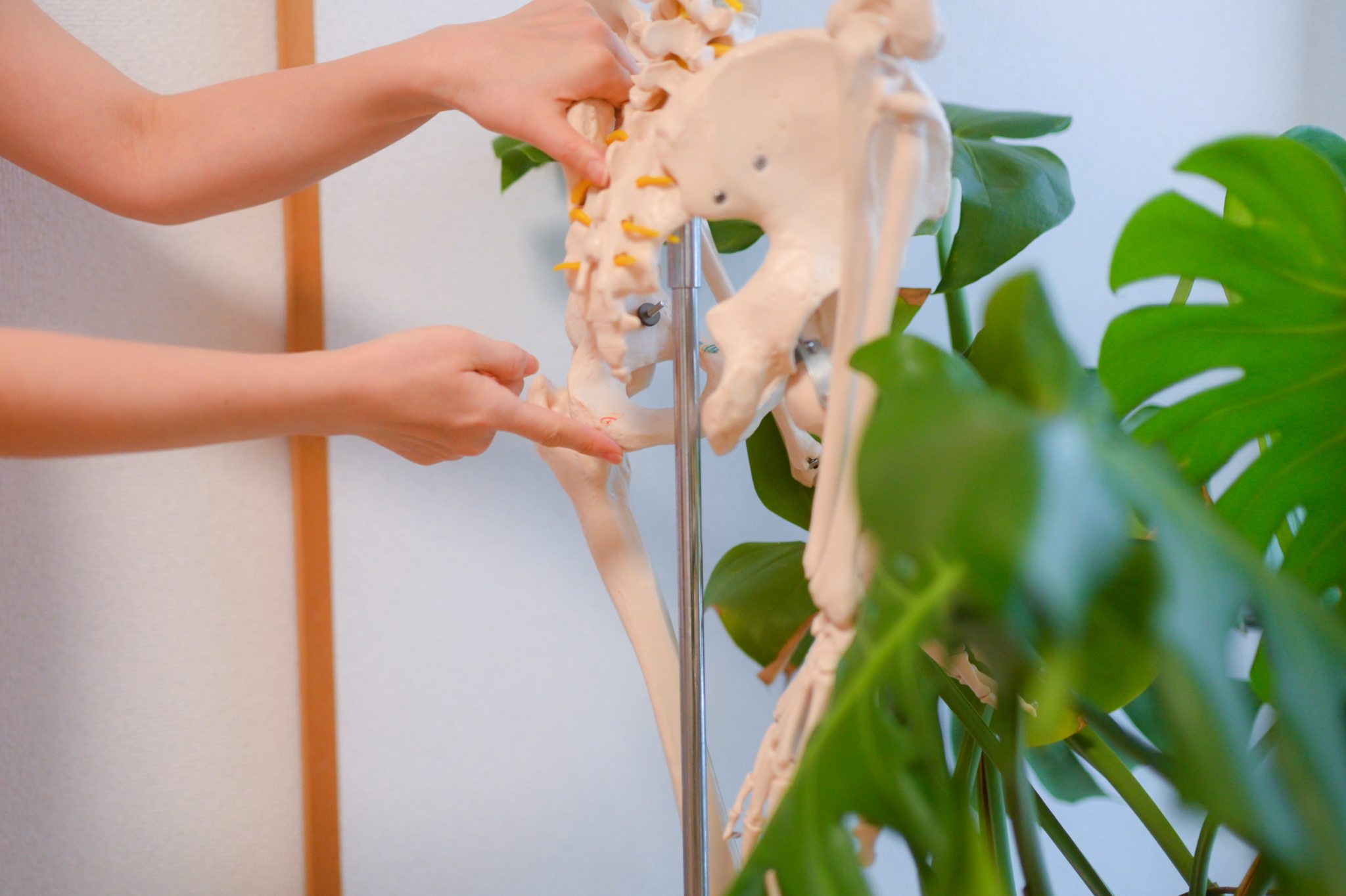 Be Natura ピラティス 姿勢改善